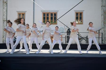 vipavska ned-80